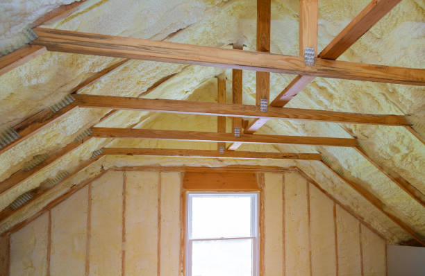 Best Blown-in Insulation in Lockhart, TX
