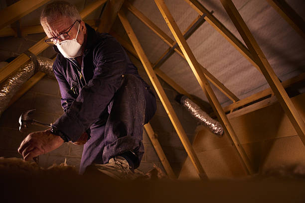 Best Cellulose Insulation in Lockhart, TX